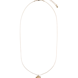 PCOLLIE Necklace - Gold Colour
