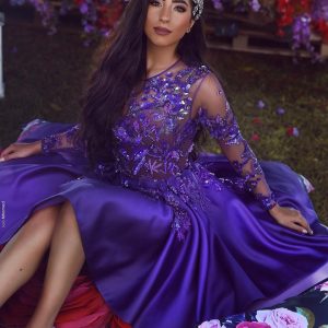 Elegant Classic Scoop Neck Long Sleeve Purple Lace Applique Mini Homecoming Dress