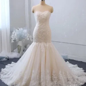 Elegant Sweetheart Backless Tulle Mermaid Wedding Gown with Delicate Lace Appliques