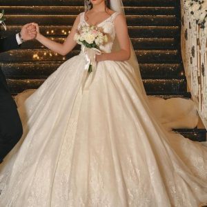 Elegant V-Neck Ball Gown Wedding Dress with Exquisite Lace Appliques