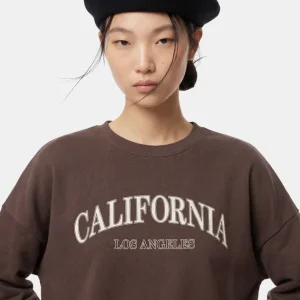 PCTAMY Sweatshirt - Hot Fudge