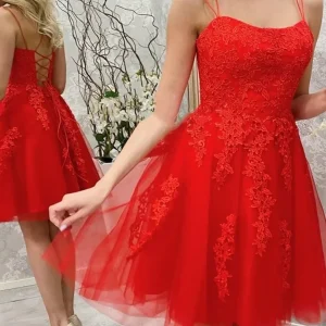 Princess Short Red Lace Prom Dress, Elegant Tulle Homecoming Evening Gown for Teens